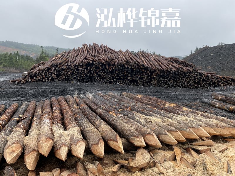 6米長(zhǎng)松木樁有哪些作用，多少錢(qián)一根？
