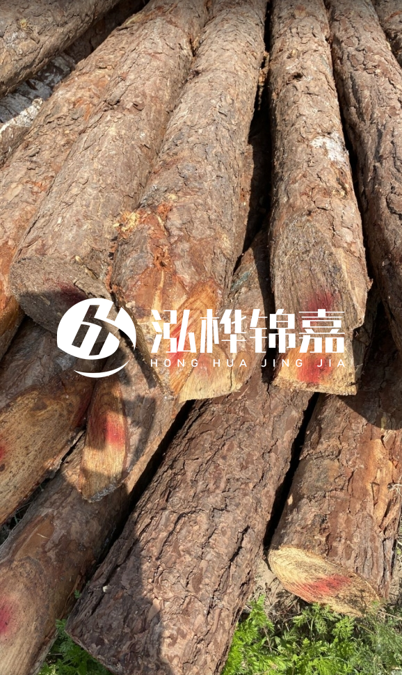 <strong>松木樁和杉木樁的用途區(qū)別？哪個(gè)更適合打樁用？</strong>