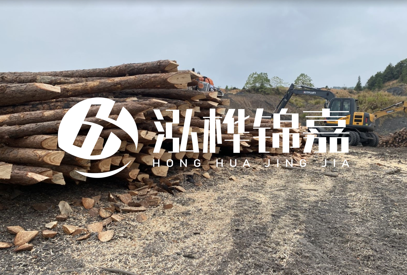 松木樁尾徑是什么意思？