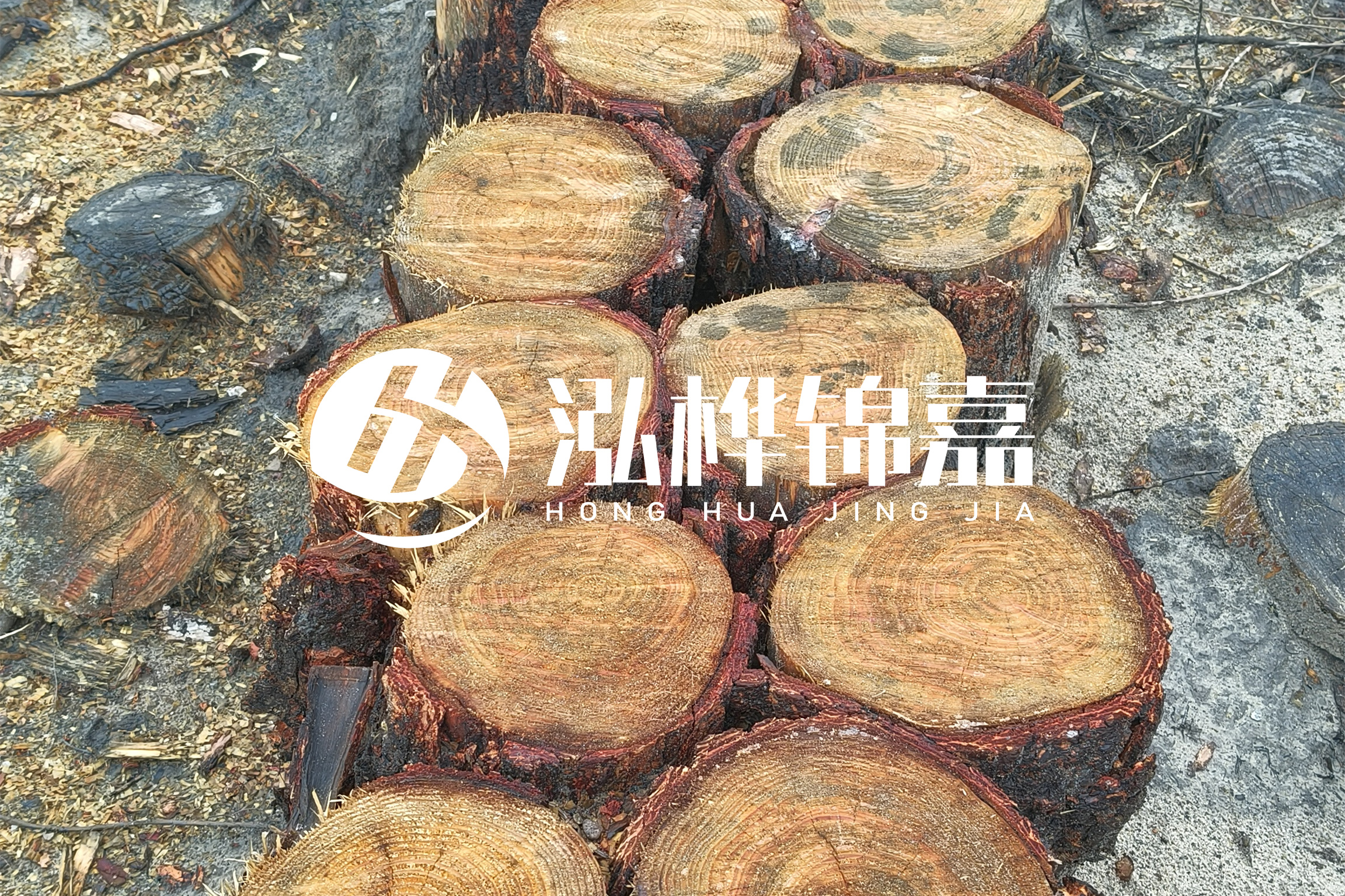 浙江臺(tái)州有清淤的公司嗎？浙江臺(tái)州有清淤施工隊(duì)嗎？