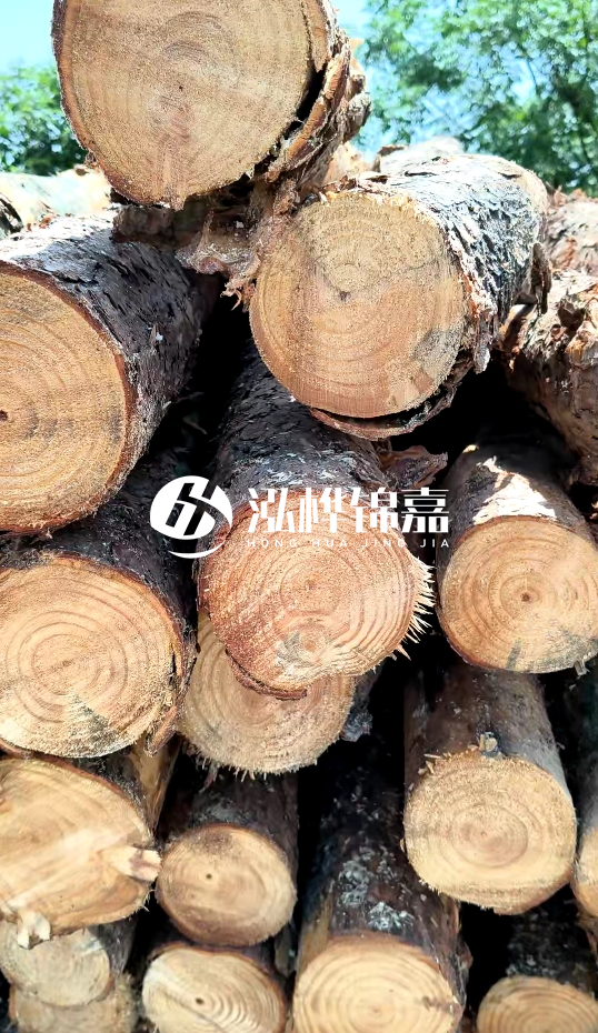 周口挖機打木樁專業(yè)施工-杉木樁施工打樁怎么打？