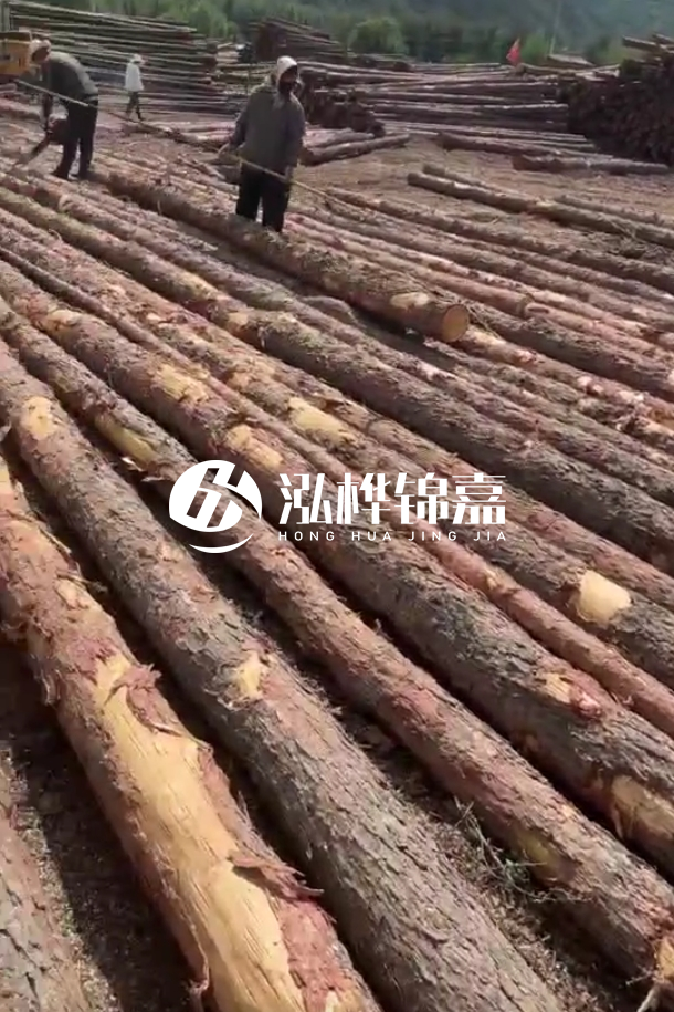 ?？谒赡緲对搭^廠家-松木樁最長(zhǎng)可以做多少米？