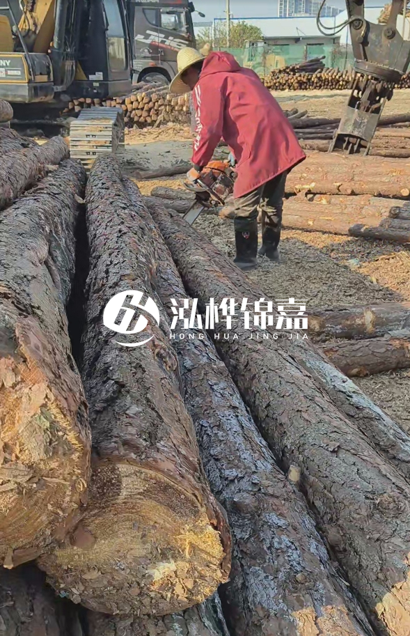 長沙打樁木批發(fā)廠家在哪里？聯(lián)系方式是什么？