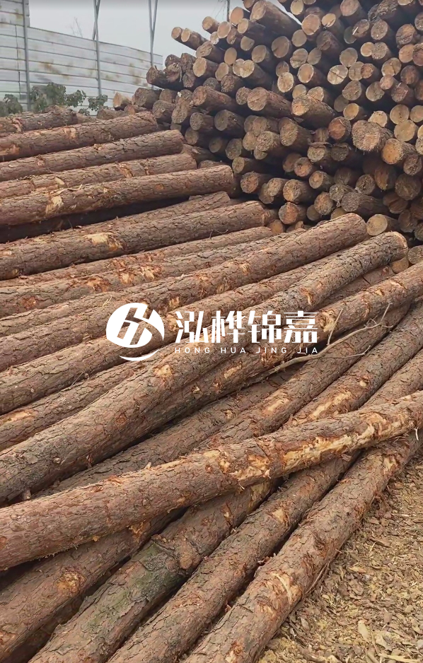 山西河道木樁護(hù)岸價格多少錢一米-每米河道打樁要花多少錢？