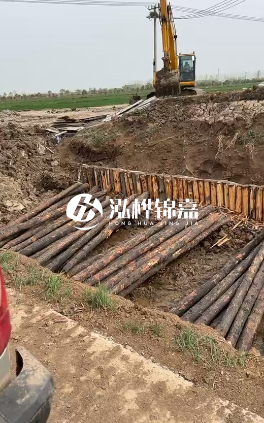 4米直徑12-13油松批發(fā)價最低多少？報價含稅含運嗎？