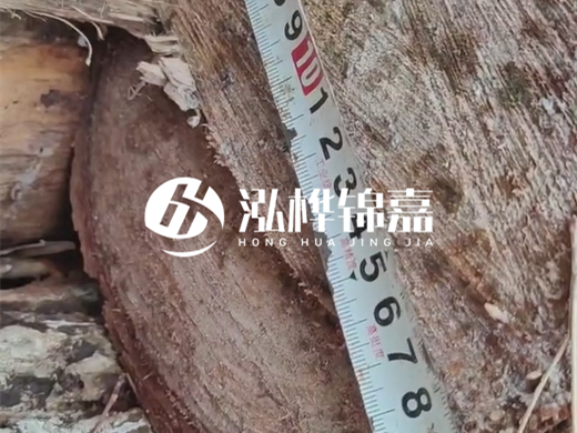 打木樁有什么好處？打樁木適用范圍有哪些要求？