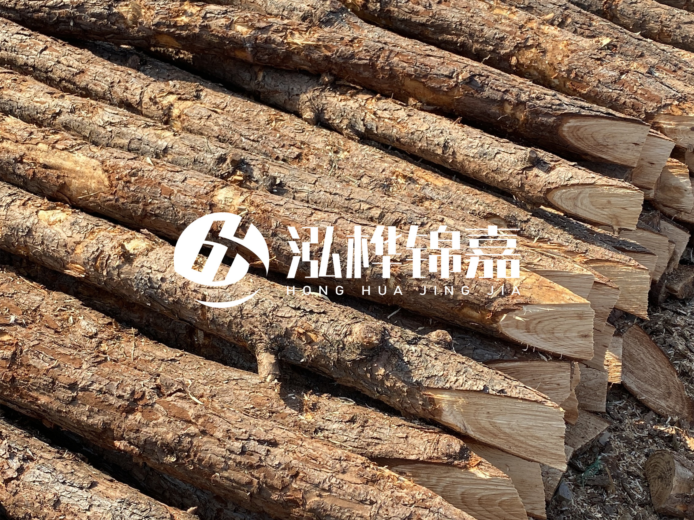 8 米超大直徑松木樁的價格是多少？帶皮和去皮松木樁價格差多少？