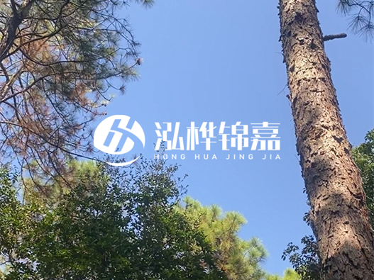 松木樁廠家泓樺錦嘉可以實地考察嗎？需要提前預約嗎？