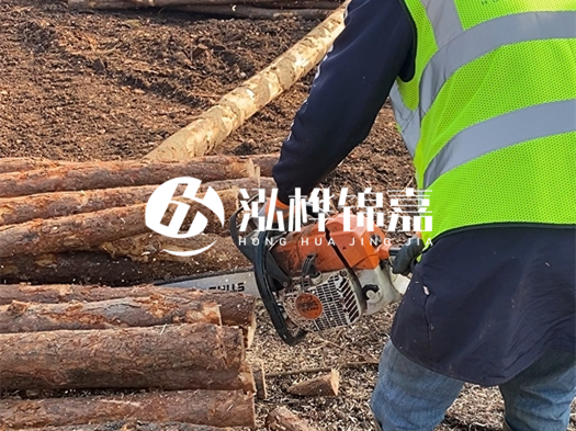 河道打木樁多少錢(qián)一根？5米直徑10松木樁打樁多少錢(qián)？