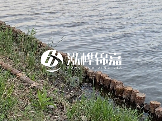 防洪松木樁施工重要性？河道打木樁的位置怎么確定？