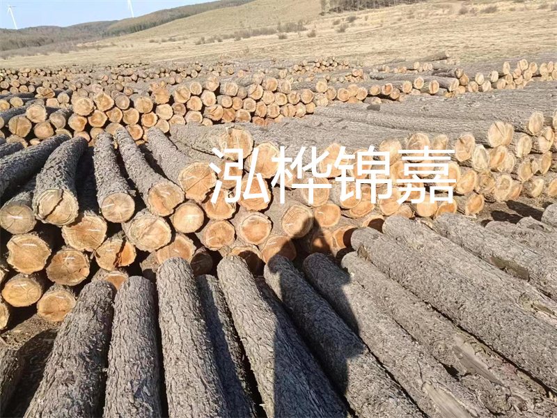 選擇合適的路緣石尺寸，打造美麗道路